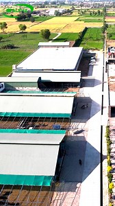 79K views · 1.3K reactions | Red Angus Bull | Premium Meat Breed |...