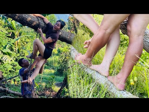 Agricultural vehicles transporting timber and logged trees are extremely difficult.