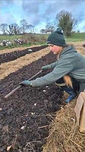 Time to plant garlic 🧄