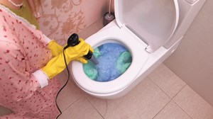 Unexpected Toilet Design Upgrade