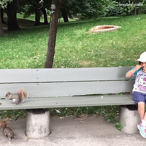 This girl has her milk tooth pulled out by a squirrel! 😂 | Daily Mail Video