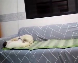 Leave me alone.. :) :) | The World Of Awesome Pictures