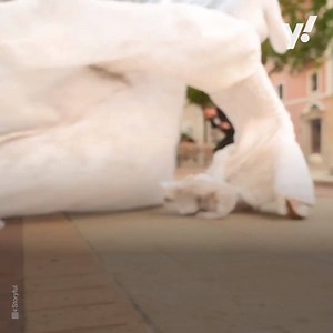 'A nightmare scene': Massive Beirut explosion hits at the exact moment a bride is having her wedding photos taken | Yahoo UK