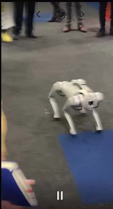 Some awesome security toys are on show at Securex | Andre Snyman eblockwatch