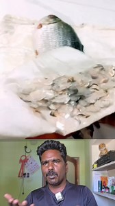 Super tric fish cleaning 😜🙌💬💬🤗... #village #ownvoice #tips #viralreels ... | Senthil T