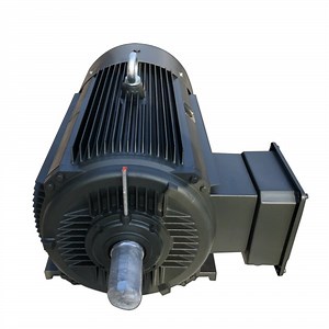[Hot Item] Direct Starting Three Phase Asynchronous Induction AC Motor