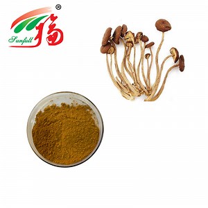 [Hot Item] High Quality Agrocybe Chaxingu Extract 20% Polysacchrides Mushroom Extract