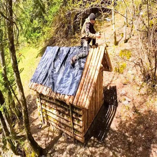 Building a bushcraft log cabin for survival catch and cook from start to finish | Accessories Store