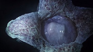 First glimpse of Alien: Covenant crew depicts a bunch of bored hipsters in space