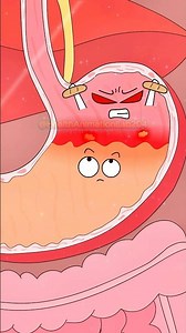 🍺 Pourquoi l'alcool fait-il mal à l'estomac ?❓#shorts