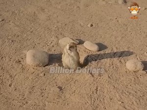 Movie Netflix 2025 #movie #film | STK Bakery Supply Shop