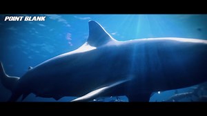 Are the Combat Divers ready? 🌊 🔫 The new Battle Pass season, Combat Diver, featuring the permanent APC-9, is launching its pre-order phase 🗓️ on December 19th! 🛒 Pre-order Period: December 19-23 🎮 Season Duration: December 24, 2024 - February 3, 2025 | Point Blank