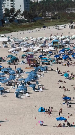 1.9K views · 18 reactions | Spring Break in Miami Beach. #saltlife #beachvibes #springbreak #miamibeach ONLY in DADE Miami, Florida | Deborak Wilson | Facebook