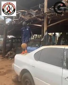 548K views · 10K reactions | Where are you Zlatan Ibrahimović ? | GLOBAL TALENT | Facebook