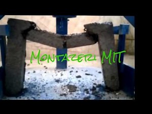 Egg Protection Device Concrete in Montazeri MIT