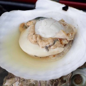 【絶対うまい】築地の新鮮な貝を酒蒸しにしてみた / Steamed Shellfish レシピはこちら！https://bit.ly/3HZidZr 作ったらコメント欄に写真を投稿してくださいね！😊✨ | Tasty Japan