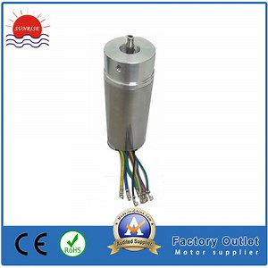 [Hot Item] 28bly3a55 Electric Motor Brushless Motor/DC Motor Coreless Motor for Electric Power Tool