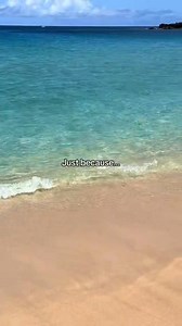 75K views · 1.9K reactions | The clearest water we’ve ever seen  #Hawaii #ocean #beach #Oahu #travel | I Love Hawaii | Facebook