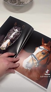 Lookbook 22/23💖 | SD Design