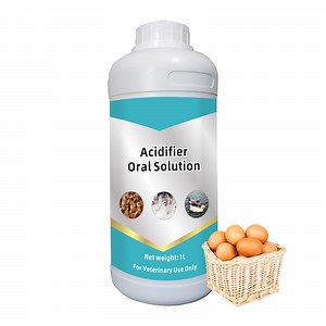 [Hot Item] Acidifier Oral Solution Improve The Environment and Reduce The Occurrence of Diseases