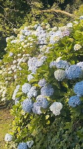 Parque Lago Negro, Gramado📍 #lagonegro #lagonegrogramado #gramado | Infinity Turismo Gramado