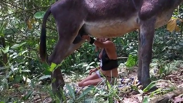 Woman and donkey: a zoophilia video not to be missed