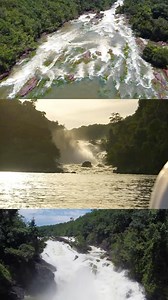 Payara (hydrolycus armatus) a beast of a fish that should be on every serious anglers bucket list! @orinocolodge #fishcolombia #fishcolombia2024 #orinocolodge #mapirilodge #outdoors #peacockbass #temensis #payara #vampirefish #flyfishing #pescaconmosca #adventure #fishinglodge #junglefishing #matrinxa #multispeciesfishing #tucunare #peacockbassonfly #colombia#fishcolombiaexpeditions #fishcolombia2023 #payaraonthefly #sardinata #hookyourdream #bkkhooks | Fish Colombia