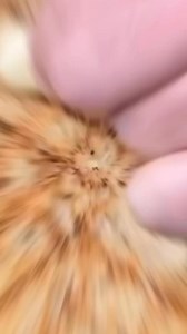 Cleanse Clubs on Reels