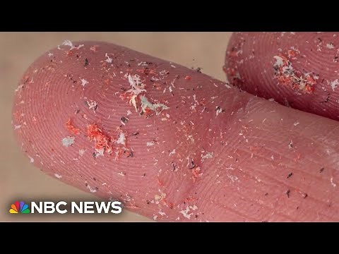 Study confirms microplastics are getting into brain tissue