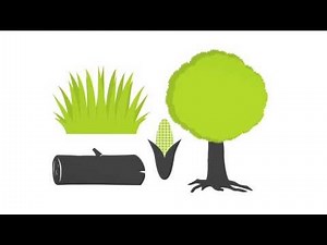 Basics on Biomass - energypedia