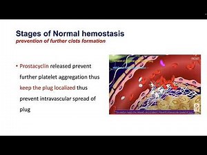 (1-A) Approach to a bleeding child "Coagulation disorder" || Pediatrics