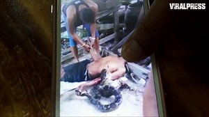 Wild Python Kills Man Who Kept It In Jar