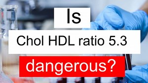 Is Chol HDL ratio 5.3 high, normal or dangerous? What does Cholesterol HDL ratio level 5.3 mean?