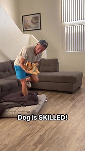 Amazing talented dog #pet #dog #wow #talent #magic | Winchumbo