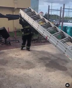 11K views · 366 reactions | This ladder is capable of reaching a 4th story window sill to rescue victims. It is the biggest extension ladder OFD carries on its Towers. Members of OFD truck companies are capable of throwing this ladder when they need to and it comes with practice and reps. #repost #firefighter #fireservice | Orlando Fire Department | Facebook
