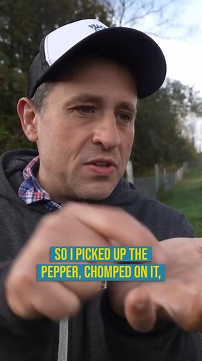 105K views · 878 reactions | I joined a hot pepper eating contest #contest #hotpepper #eating #farm #farmlife #college #student #reels #spicy | Gold Shaw Farm | Facebook