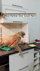 Best Partner One Could Have | Calum von Moger