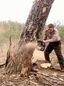 Skill tree cutting 🌲🪵#treeremovalservice | USA Insights