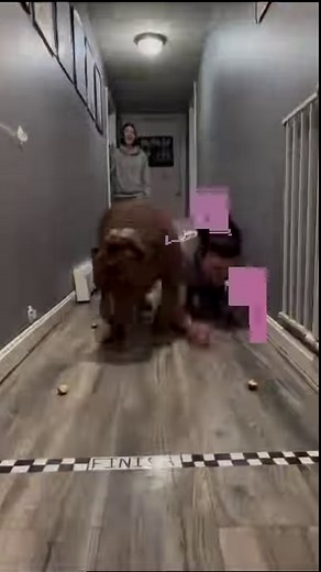 His knew thing is peeing in the pool after training then drinking the water 🤢😂😂 #funny #reels #dog | I am the HULK