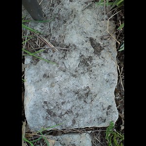 Say goodbye to uncertainty & hello to natural, faith-based wellness! Discover a magazine that combines herbal remedies, scripture-infused encouragement, family-friendly recipes and a supportive community of like-minded women. You were made for this! Get 4 issues a FREE bonus back issue (code: BONUS) now! Trusted. Uplifting. Biblically grounded. Start your journey today! | Christian Herbal Magazine