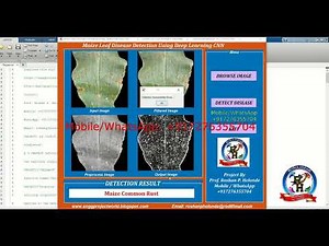 Maize Leaf Disease Detection Using Deep Learning CNN | With Source Code | Matlab Project Code