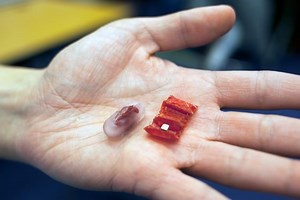 ‘Ingestible Origami Robot’ Unfolds Itself Once Inside Your Stomach