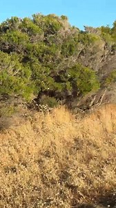 At the Beach | Helena McCormack