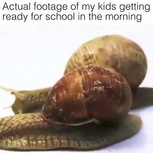 11K views · 224 reactions | Adult Humor & Quotes on Reels | Facebook