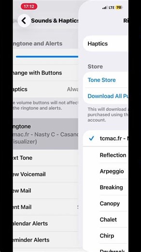 How to change ringtone on iPhone 12pro