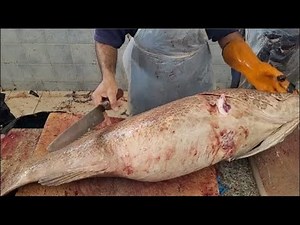 Hamour Fish Cutting Fantastic Skills। 30 KG/$300 Hamour Fish Cutting। Hamour Fish Filleting Skills