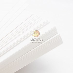 [Hot Item] Folding Box Board/Ivory Board/White Coated Ningbo Fold Board