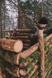 2.7K views · 45 reactions | Building a Bushcraft Log Cabin for Survival _ Catch _ Cook _ Start to Finish.#bushcraft #adventure #outdoors #survival #camping #cabinlife #cabincrew #wilderness #logcabin | Mountain Cabins | Facebook