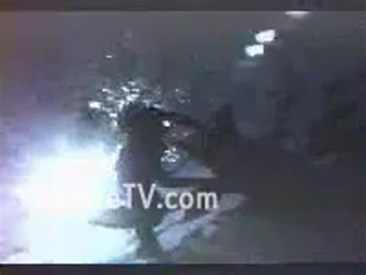 Young Girl with her Dolphin Fuck Buddy