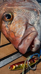 3.5K views · 31 reactions | Tungsten lets you fish micro jigs...